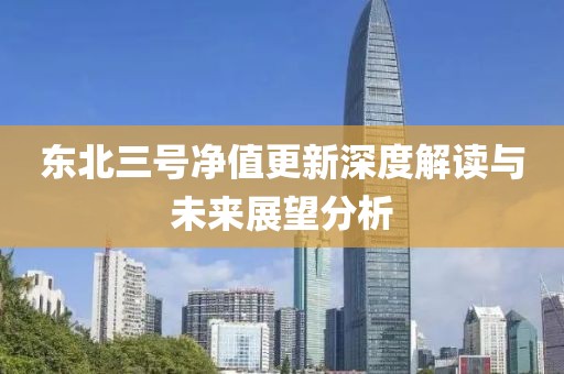 东北三号净值更新深度解读与未来展望分析