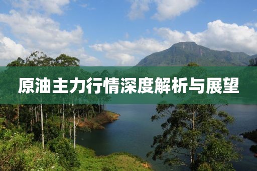 原油主力行情深度解析与展望