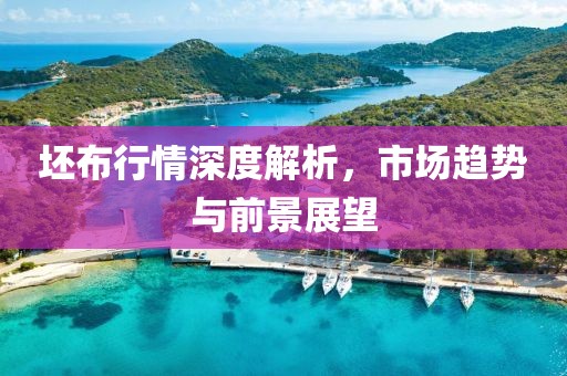 坯布行情深度解析，市场趋势与前景展望
