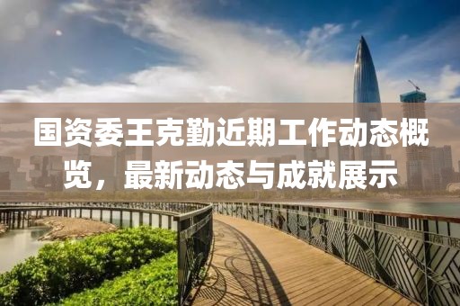 国资委王克勤近期工作动态概览,最新动态与成就展示