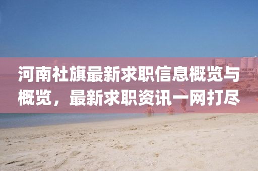 河南社旗最新求职信息概览与概览,最新求职资讯一网打尽