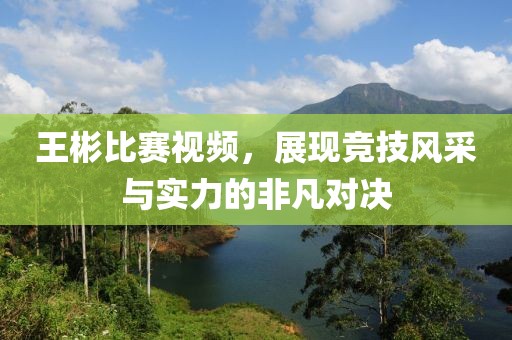 王彬比赛视频,展现竞技风采与实力的非凡对决