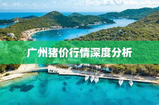 广州猪价行情深度分析