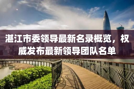 湛江市委领导最新名录概览,权威发布最新领导团队名单