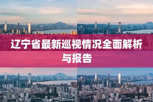 辽宁省最新巡视情况全面解析与报告
