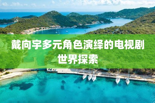 戴向宇多元角色演绎的电视剧世界探索