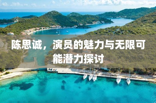 陈思诚,演员的魅力与无限可能潜力探讨