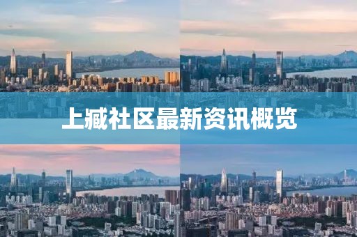 上臧社区最新资讯概览