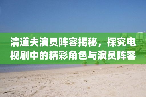 清道夫演员阵容揭秘,探究电视剧中的精彩角色与演员阵容