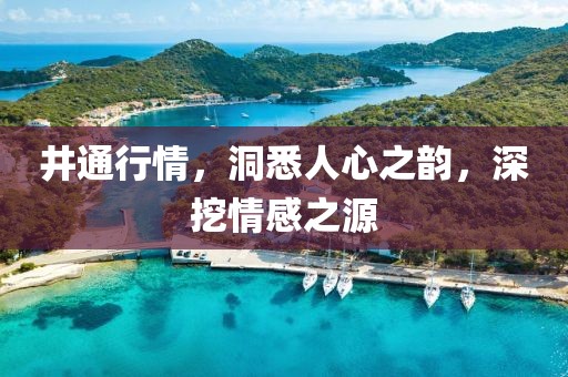 井通行情,洞悉人心之韵,深挖情感之源