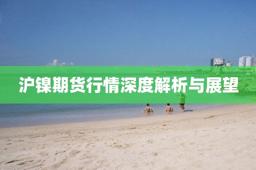 沪镍期货行情深度解析与展望