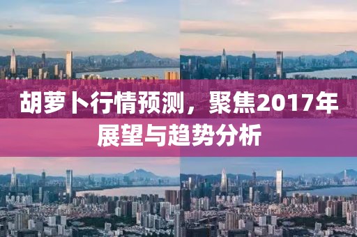 胡萝卜行情预测,聚焦2017年展望与趋势分析