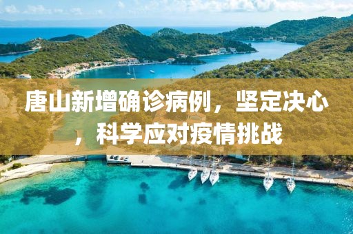 唐山新增确诊病例，坚定决心，科学应对疫情挑战