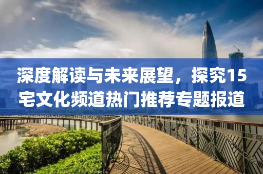 深度解读与未来展望,探究15宅文化频道热门推荐专题报道