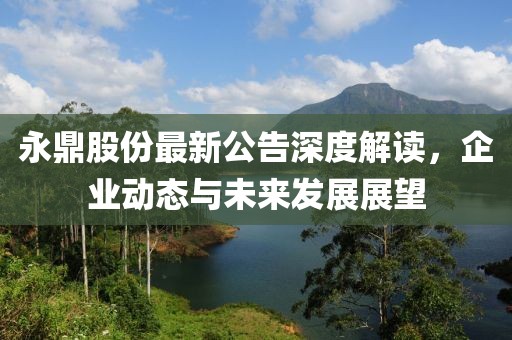 永鼎股份最新公告深度解读，企业动态与未来发展展望