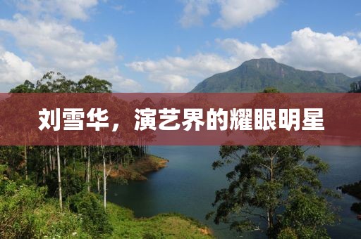 刘雪华,演艺界的耀眼明星