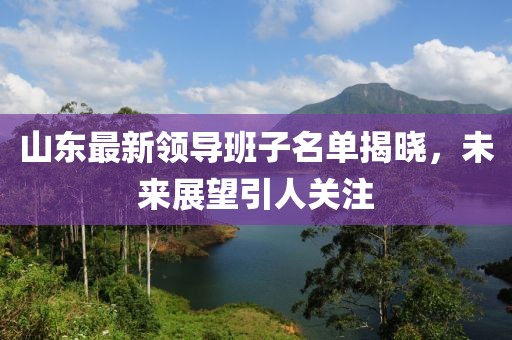 山东最新领导班子名单揭晓，未来展望引人关注