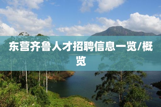 东营齐鲁人才招聘信息一览/概览