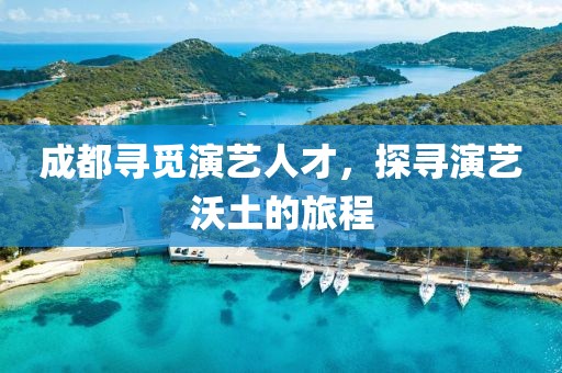 成都寻觅演艺人才，探寻演艺沃土的旅程