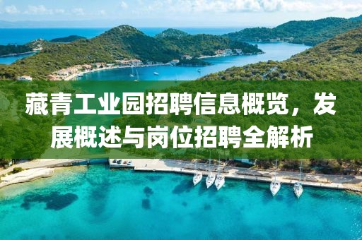 藏青工业园招聘信息概览,发展概述与岗位招聘全解析