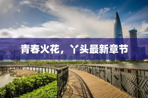 青春火花,丫头最新章节