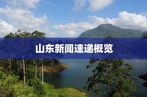 山东新闻速递概览