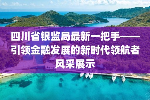 四川省银监局最新一把手——引领金融发展的新时代领航者风采展示