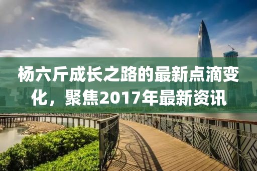 杨六斤成长之路的最新点滴变化,聚焦2017年最新资讯