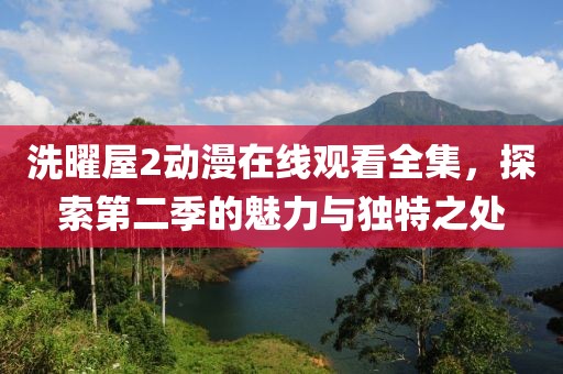 洗曜屋2动漫在线观看全集,探索第二季的魅力与独特之处