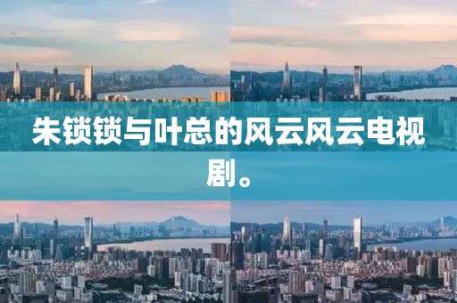 朱锁锁与叶总的风云风云电视剧。