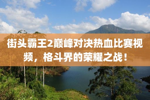 街头霸王2巅峰对决热血比赛视频,格斗界的荣耀之战!
