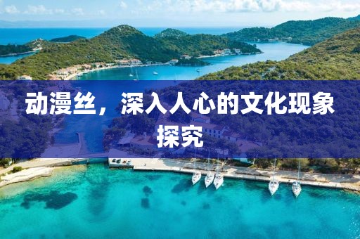 动漫丝,深入人心的文化现象探究