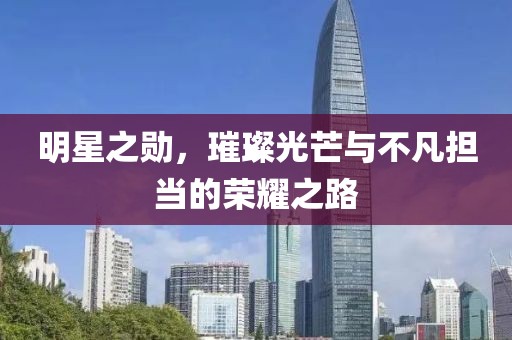 明星之勋,璀璨光芒与不凡担当的荣耀之路