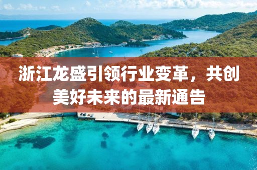 浙江龙盛引领行业变革，共创美好未来的最新通告