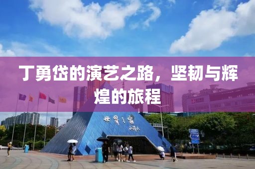 丁勇岱的演艺之路，坚韧与辉煌的旅程