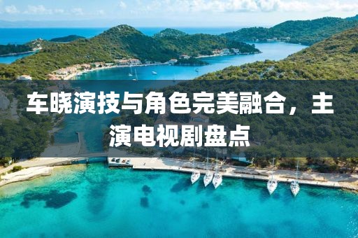 车晓演技与角色完美融合，主演电视剧盘点