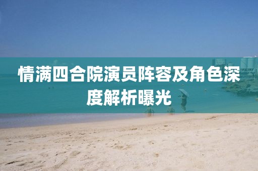 情满四合院演员阵容及角色深度解析曝光