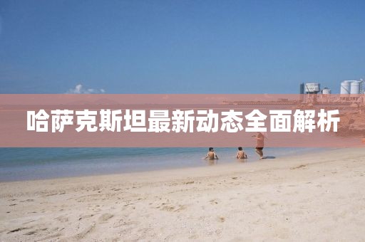 哈萨克斯坦最新动态全面解析