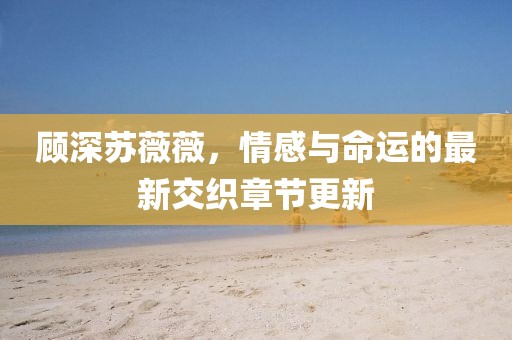 顾深苏薇薇，情感与命运的最新交织章节更新