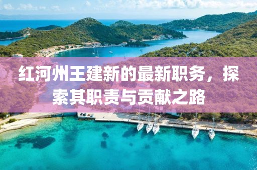 红河州王建新的最新职务，探索其职责与贡献之路