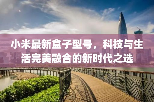 小米最新盒子型号，科技与生活完美融合的新时代之选