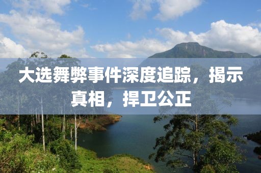 大选舞弊事件深度追踪，揭示真相，捍卫公正