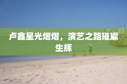 卢鑫星光熠熠，演艺之路璀璨生辉