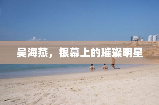 吴海燕,银幕上的璀璨明星