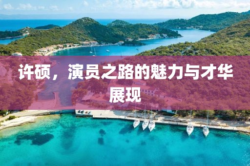 许硕，演员之路的魅力与才华展现