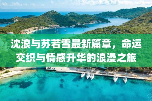 沈浪与苏若雪最新篇章,命运交织与情感升华的浪漫之旅