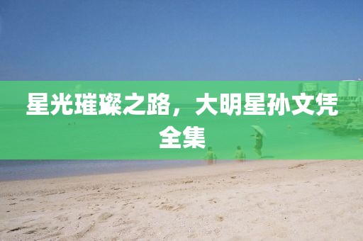 星光璀璨之路，大明星孙文凭全集