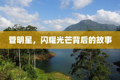 菅明星，闪耀光芒背后的故事