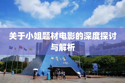 关于小姐题材电影的深度探讨与解析