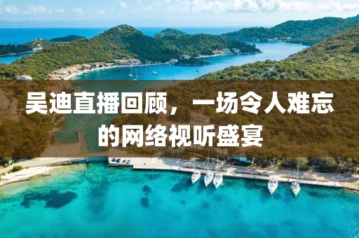 吴迪直播回顾，一场令人难忘的网络视听盛宴
